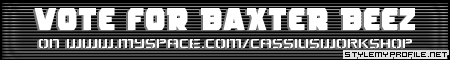Leave a comment to vote for Baxter Beez!