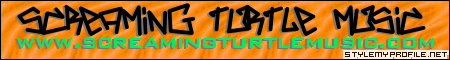 screamingturtlemusic.com! ScreamingTurtleMusic!