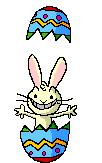 Bunny surprise